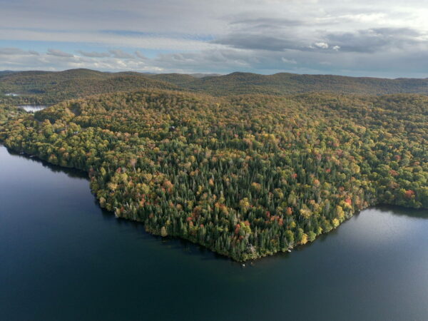 DBJ notaire Domaine Ogilvie 2