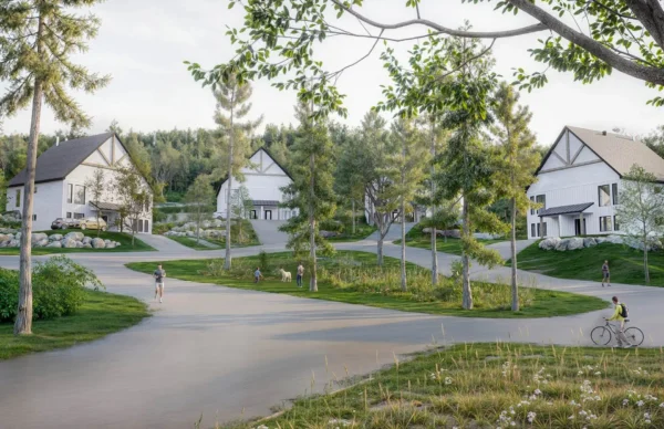 DBJ notaire - projet Le Maurice